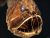 Cum telescoapele negre reproduc un pește de aur înghițit o piatră