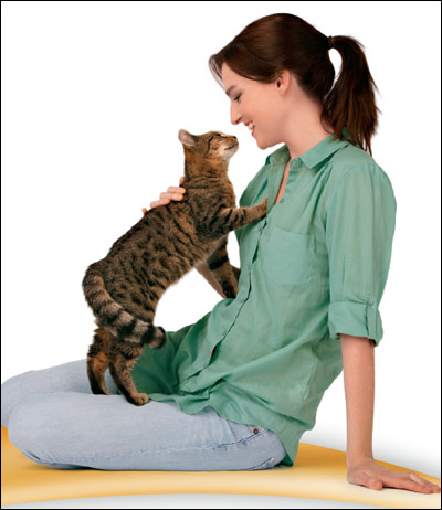 Мочекаменная болезнь - как защитить свою кошку от рецидива?