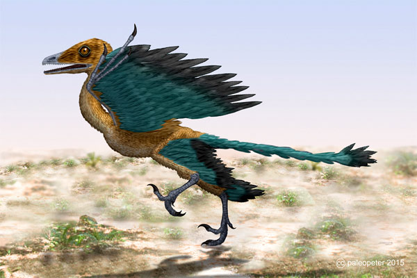 Археоптерикс (Archaeopteryx), фото вымершие животные