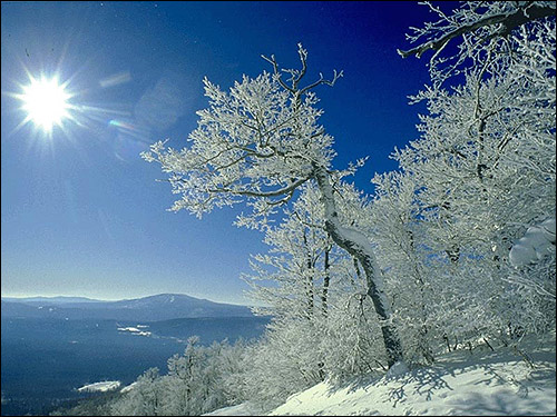 Зима в горах. Фото, фотография