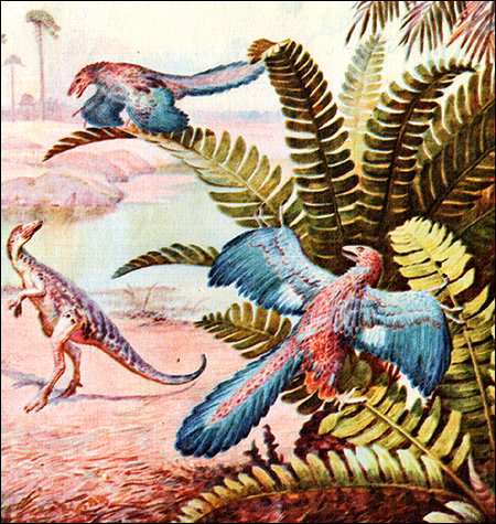  (Archaeopteryx),   